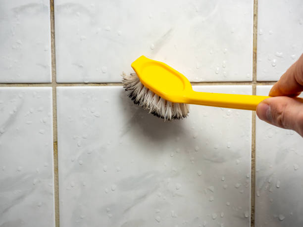 Best Emergency Mold Remediation in Ller, WA